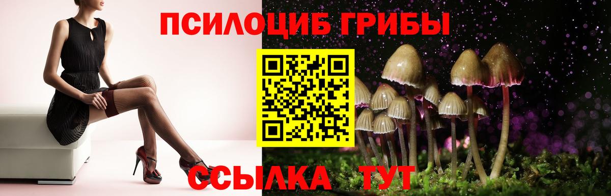 Галлюциногенные грибы Psilocybe  Вход с VPN  Псилоцибиновые грибы Cubensis  Шебекино 